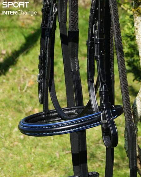 Royal Blue Black Noseband