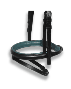 Noseband Black with Forest Green Padding - Flash