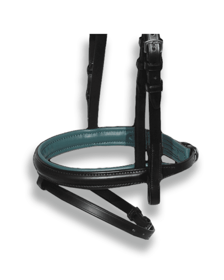 Noseband Black with Forest Green Padding - Flash