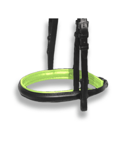 Noseband Black with Kiwi Padding - Plain