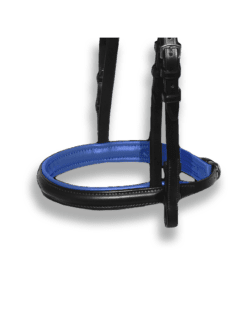 Noseband Black with Royal Blue Piping - Plain