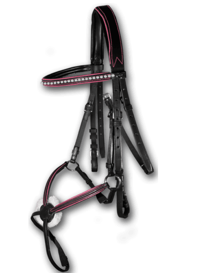 Sport Hot Pink Grackle Bridle