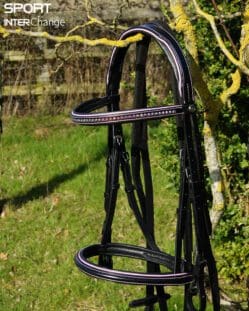 Baby Pink Black Bridle Main