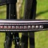 Baby Pink Black Browband