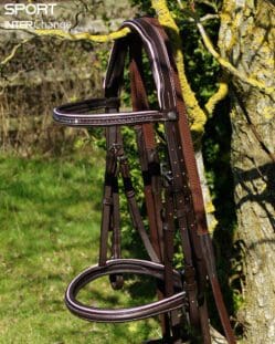 Baby Pink Brown Bridle Main