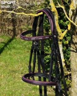 Beautiful Sport Range Bridle by Pink Equine with Hot Pink Piping