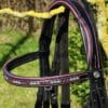 Close up of Sport Browband by Pink Equine with Hot Pink Piping and Ruby/Clear Crystals