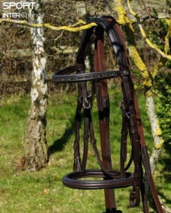 Petrol Brown Bridle Main