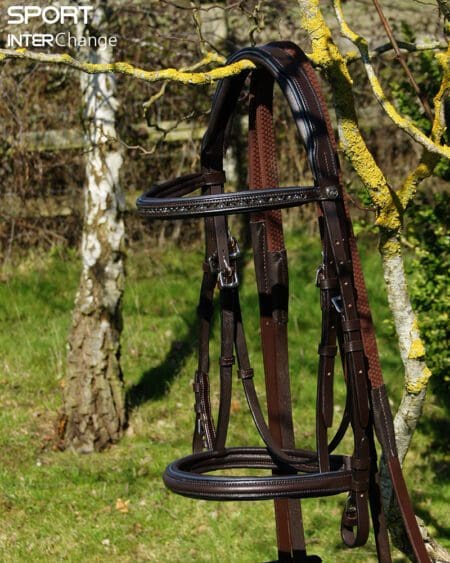 Petrol Brown Bridle Main
