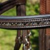 Petrol Brown Browband