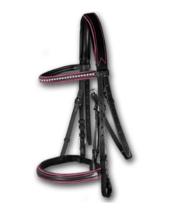 Crystal Bridle Black with Hot Pink Piping