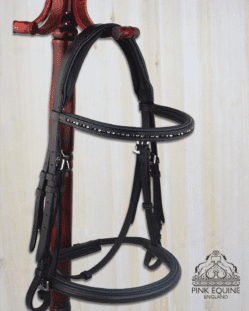 English bridle