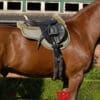 Mattes Asymmetric Long Girth on Horse