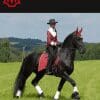 Fresian Horse Saddle Pad