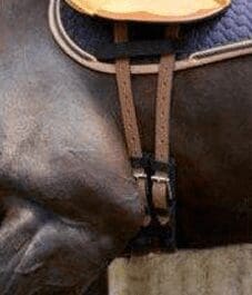 Poorly Fitted Girth