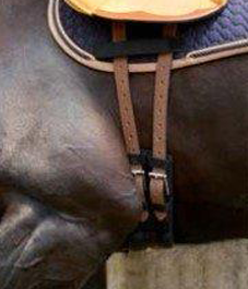Poorly Fitted Girth