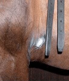 Result of Poorly Fitted Girth