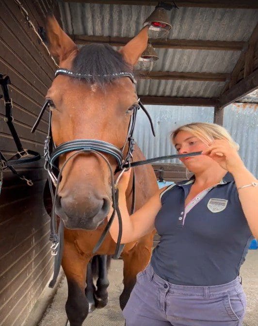 Adjusting the noseband