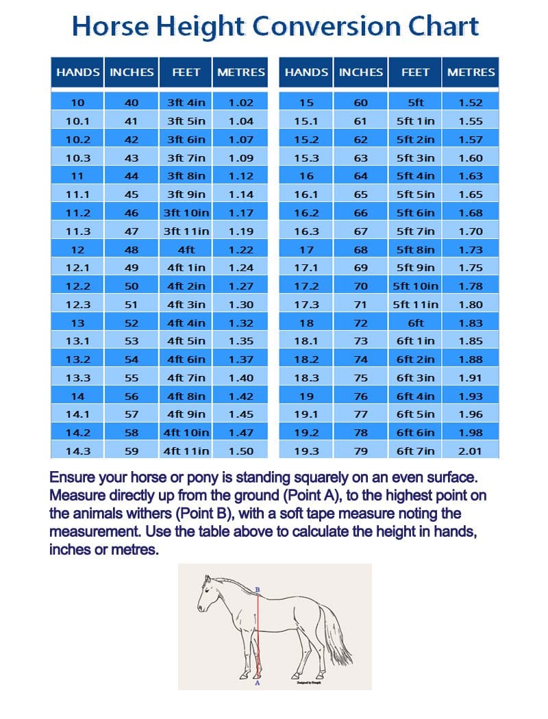 Horse Height Chart How To Measure A Horse S Height And Weight Horse 