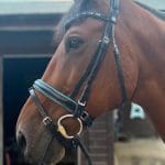 How to put a bridle together