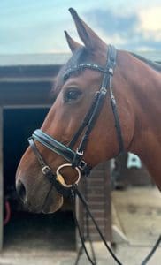 How to put a bridle together