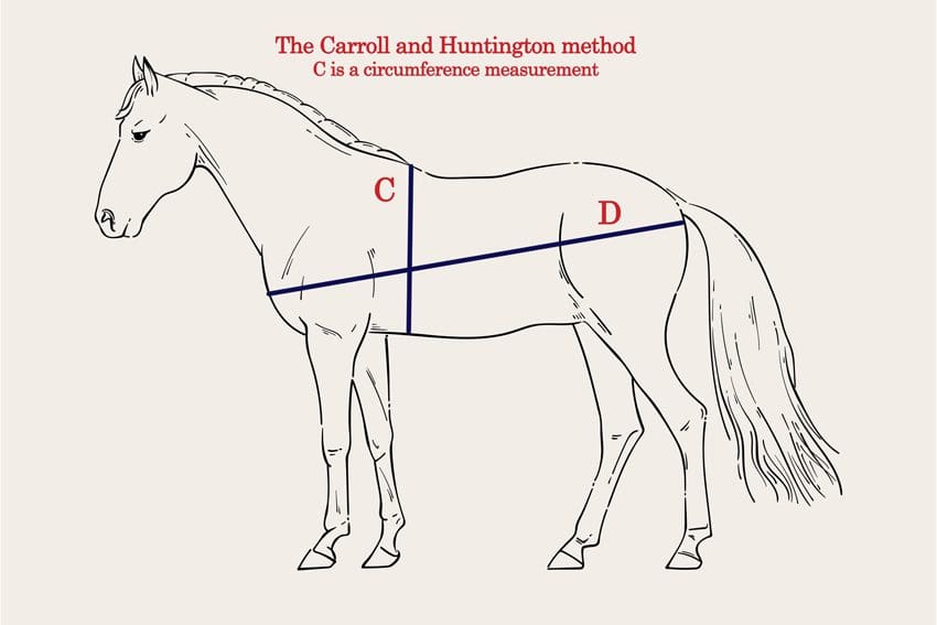 The Carroll and Huntington method of weighing your horse