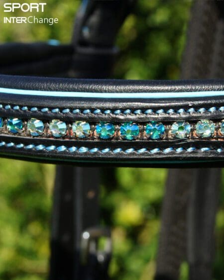 Atlantic Black Browband
