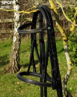Black Gold Bridle Main