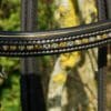 Black Gold Browband