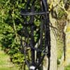 Black Grackle Bridle Main