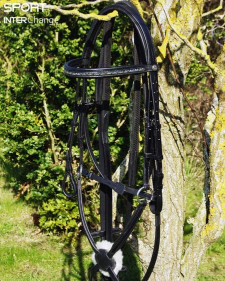 Black Grackle Bridle Main