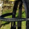 Black Grackle Bridle Top Part