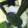 Black Grackle Sheepskin Part