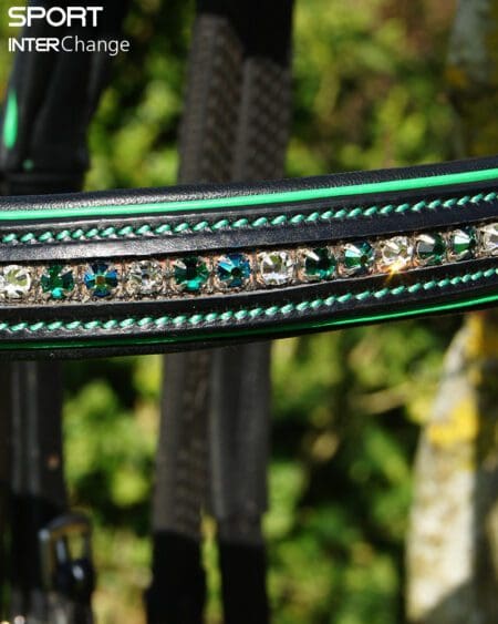 Black Hunter Browband