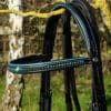 Black Teal Bridle Top Part