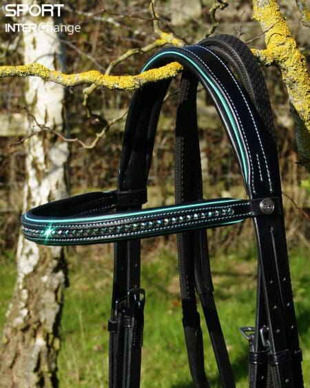 Black Teal Bridle Top Part