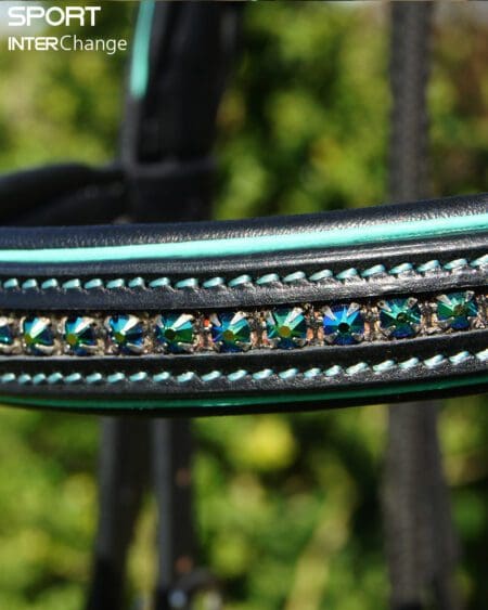 Black Teal Browband