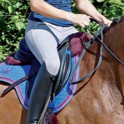 How to Fit a Saddle Pad to a horse