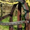 Hunter Brown Bridle Top Part