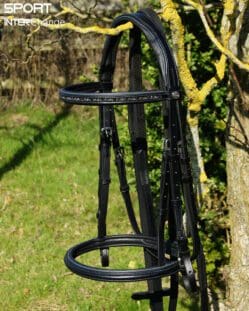 Petrol Black Bridle Main