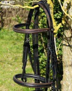 Rust Black Bridle Main