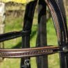 Rust Black Bridle Top Part