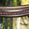 Rust Black Browband