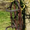 Teal Brown Bridle Main
