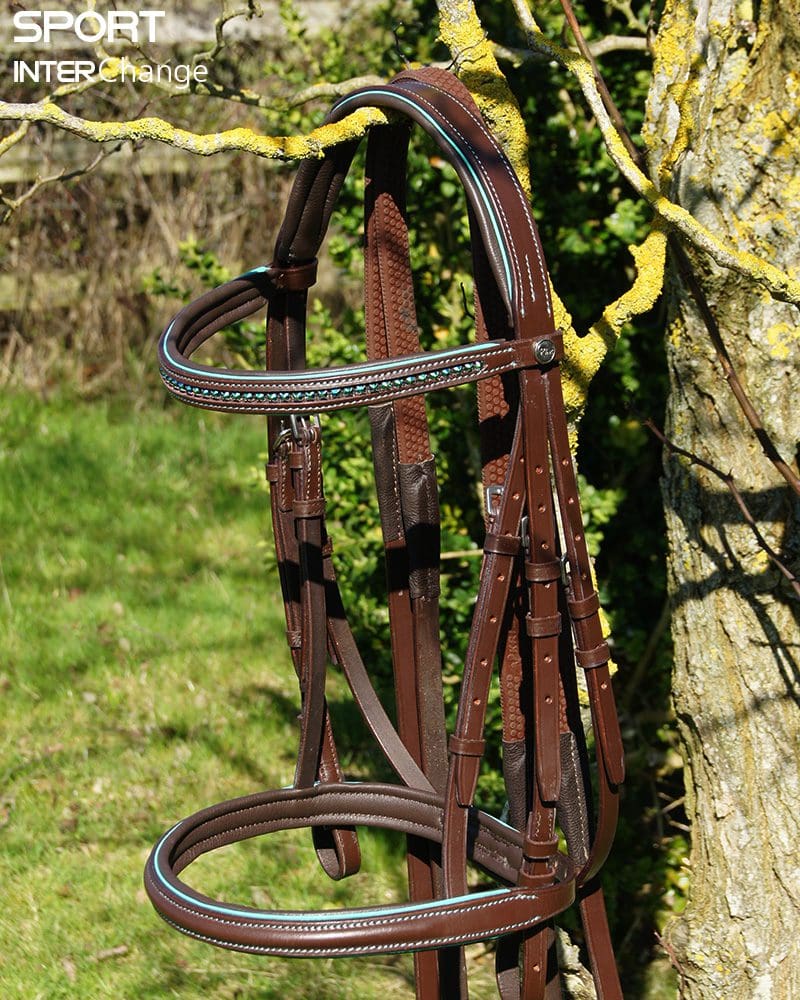 Brown Leather Plain Full Size bridle with Teal piping