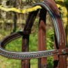 Teal Brown Bridle Top Part