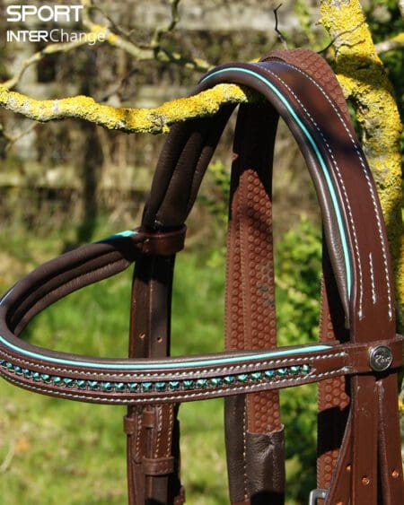 Teal Brown Bridle Top Part