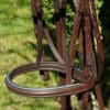 Teal Brown Noseband