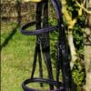 Violet Black Bridle Main