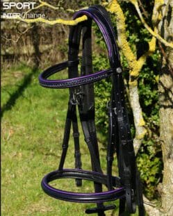 Violet Black Bridle Main